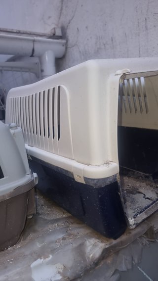 Transportines Perro/Gato (3uds)