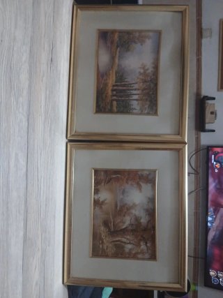 Pareja cuadros paisaje madera y cristal