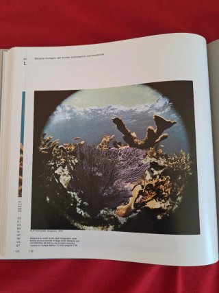 Libro d'arte: La fotografia, La ricerca