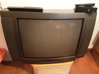 TV Loewe 24'' con decodificador y mandos