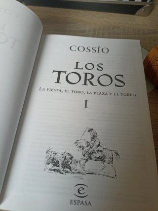 Los Toros, Tratado Técnico E Histórico