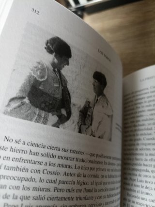 Los Toros, Tratado Técnico E Histórico