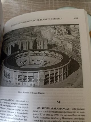 Los Toros, Tratado Técnico E Histórico