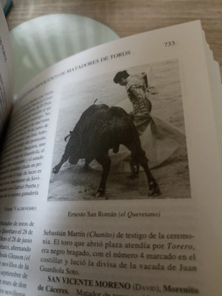 Los Toros, Tratado Técnico E Histórico