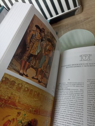 Los Toros, Tratado Técnico E Histórico