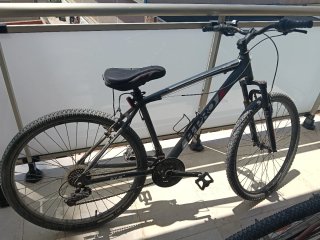 Bicicleta de montaña B-PRO
