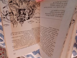 Libro los jóvenes dragones , la magia al reves.