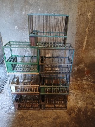 7 Jaulas grandes para pájaros