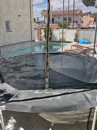 Saltador muy grande con red de seguridad