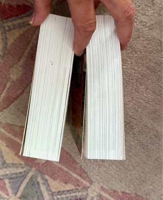 Lote 2 Libros El Milenio y The German Millennium