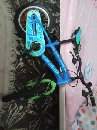 Bicicleta infantil azul y verde