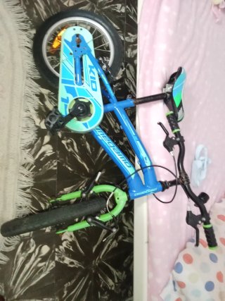 Bicicleta infantil azul y verde