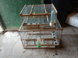 Jaulones de madera para pájaros