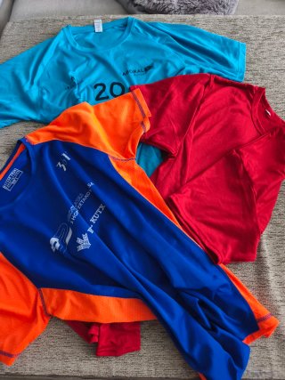 Lote 10 Camisetas Deportivas Talla L
