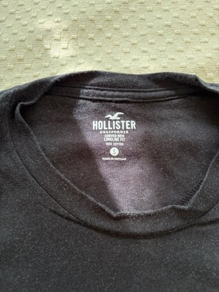 Camiseta Hollister Degradado