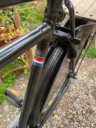 Bicicleta Holandesa RDTO