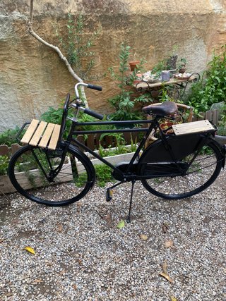 Bicicleta Holandesa RDTO