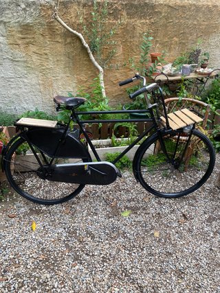 Bicicleta Holandesa RDTO