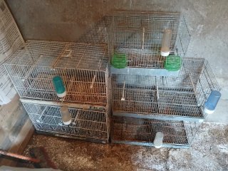Jaulones grandes para pájaros