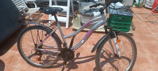 Bicicleta de montaña plateada