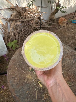Jarrón Vintage Cerámica Amarillo y Dorado