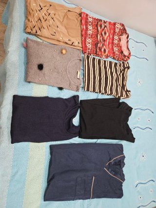 Lote de Camisetas y Blusones
