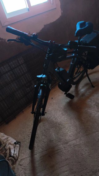 Bicicleta Eléctrica