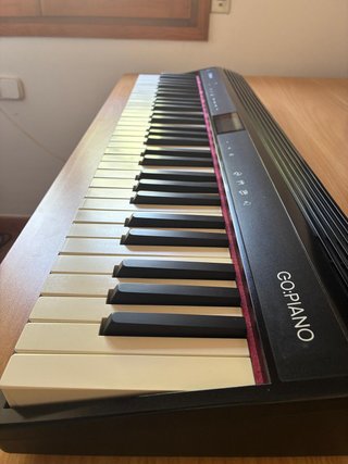 Roland GO:PIANO 61p Piano Digital