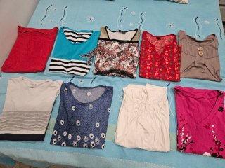 Lote de Camisetas y Blusones Manga Corta