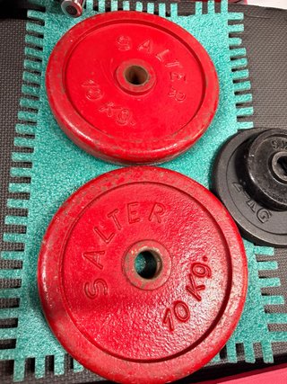 Pack 2 Discos Salter 10 Kg