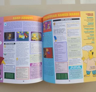 Libro THE SIMPSONS EN INGLES.