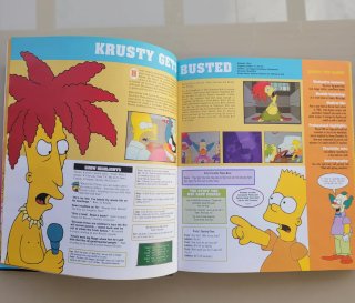 Libro THE SIMPSONS EN INGLES.
