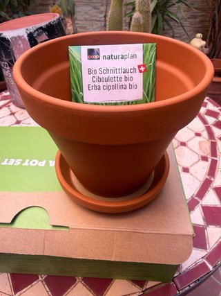 2 Vasi in Terracotta Coop Naturaplan con Piatti