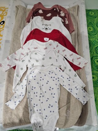 Lote de 7 Bodies Bebé 6-9 Meses