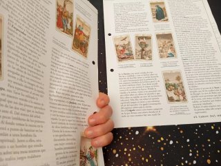 Tarot de Bruegel, Salvat