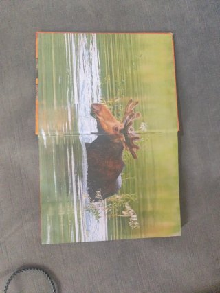 El maravilloso mundo de los animales
