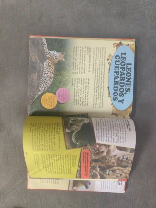 El maravilloso mundo de los animales