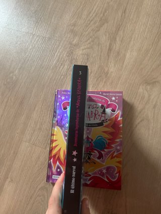 Lote de 4 libros de tapa dura de anna kadabra