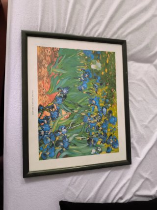 Cuadro Los Lirios Van Gogh