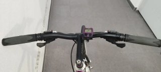 Bicicleta Vitus Futural Paseo Morada