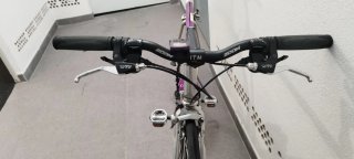 Bicicleta Vitus Futural Paseo Morada