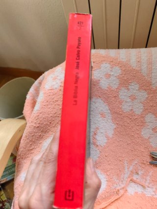 Lote 2 libros novela historica
