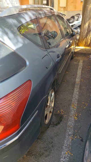 Peugeot 407 2007