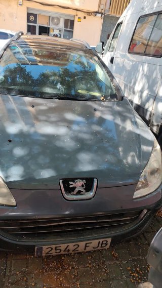 Peugeot 407 2007
