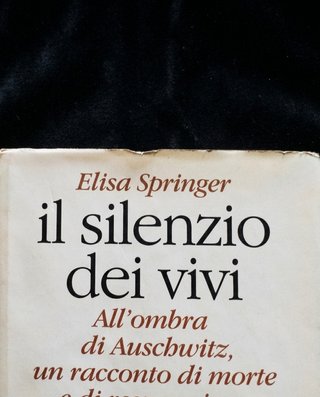 "Il silenzio dei vivi"di Elisa Springer