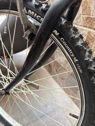 Bicicleta Negra
