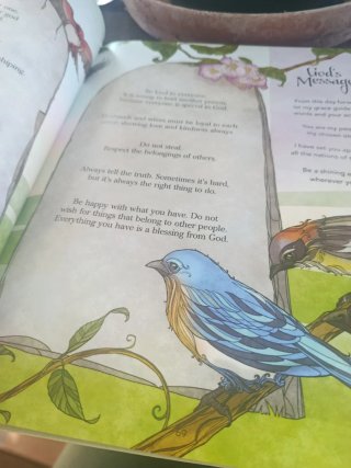 Libro para niños de la biblia en ingles