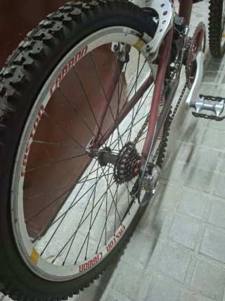 Bicicleta de montaña