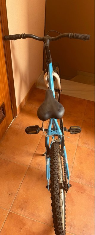 Bicicleta infantil azul