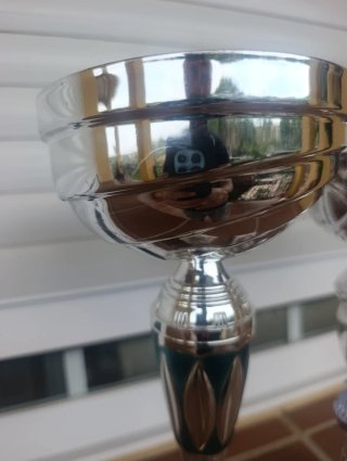 Lote 2 Trofeos Plateados
